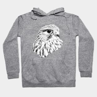 Kestrel portrait Hoodie